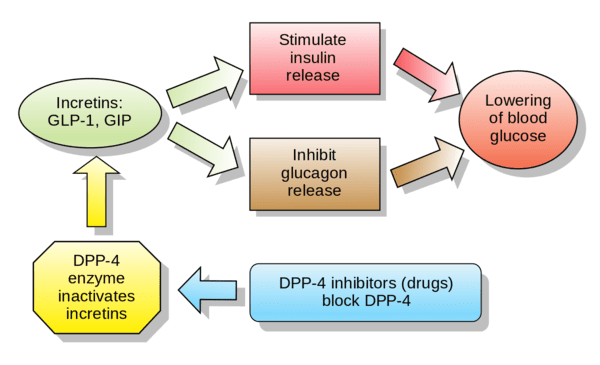 Drug Revolution: GLP-1 medications figures to impact the obesity-related illnesses as well.   