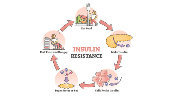 Insulin Resistance:  Eating foods that have a low to medium glycemic index can help to manage insulin resistance.  