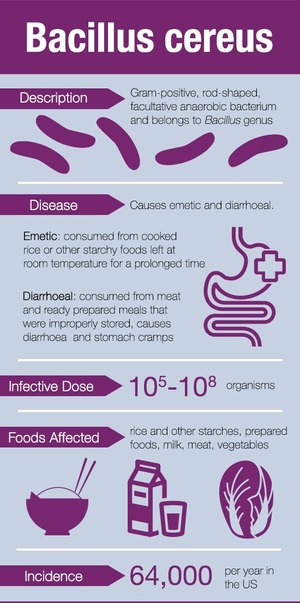 Foodborne Illness:  Fried Rice Syndrome feres to a foodborne illness caused by the bacteria  Bacillus Cereus.