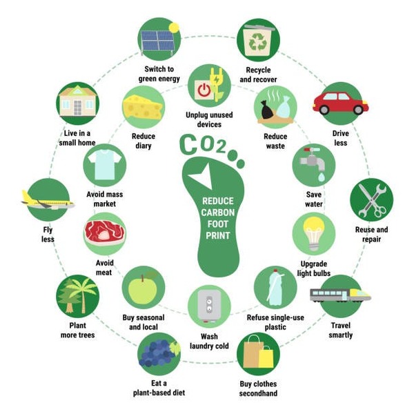 Carbon Footprint: A plant-based diet typically has a low carbon footprint.  
