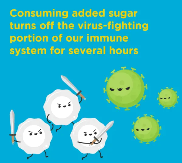 Immune System: Glucose metabolism impacts the Immune response